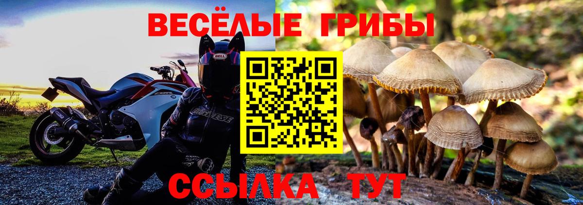Городец  хочу наркоту  Вход с VPN  Галлюциногенные грибы Psilocybe 