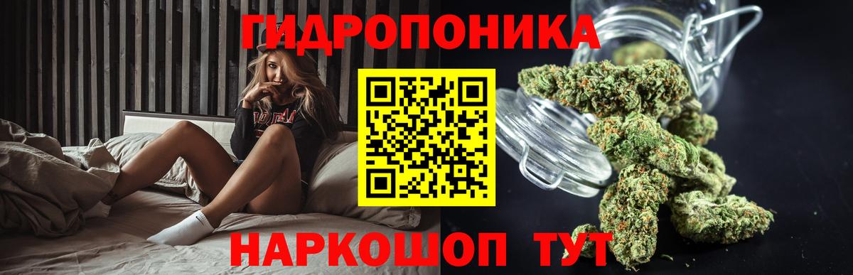 Бошки Шишки LSD WEED  Марихуана планчик  Шишки марихуана семена  Городец  Бошки Шишки SATIVA & INDICA  Вход с VPN 
